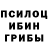 Псилоцибиновые грибы прущие грибы Mariika Kotyk