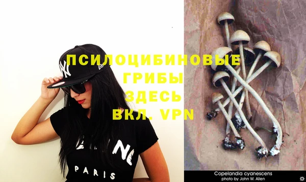 таблы Иннополис