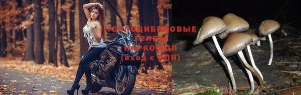 гашиш Инта