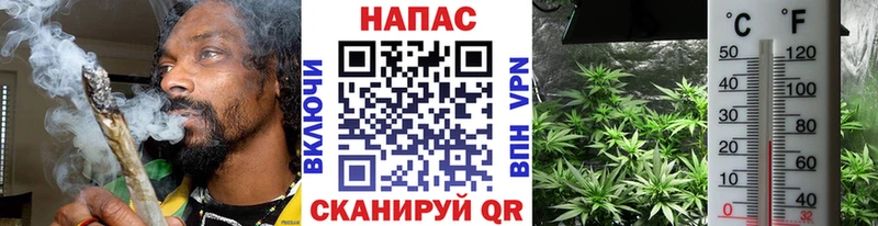Марихуана план  Купить где  Волгореченск 